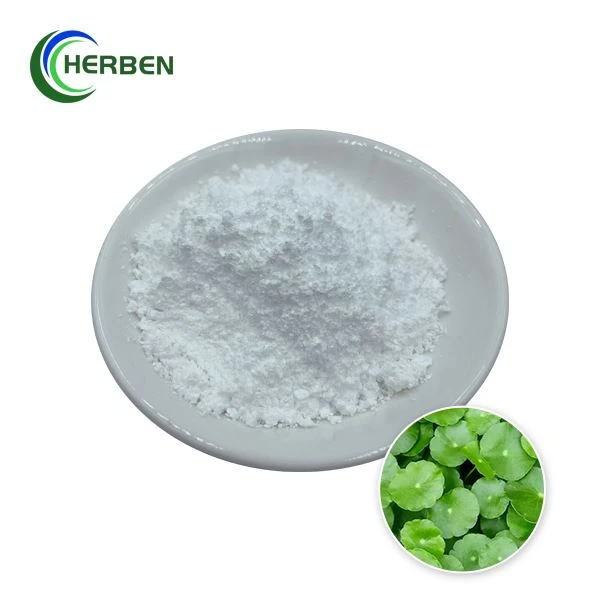 Bột chiết xuất Centella Asiatica