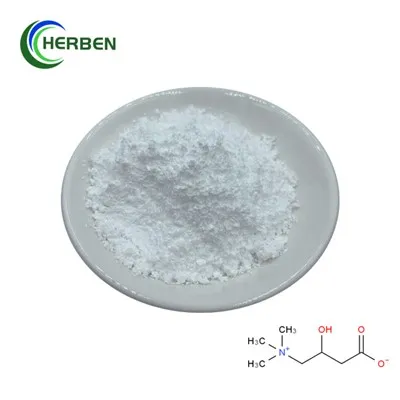 Bột thô L Carnitine