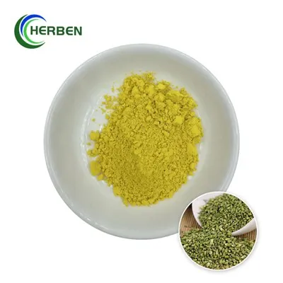 Bột Rutin